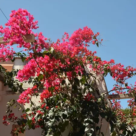 Teti - Sicilia Campofelice Di Roccella