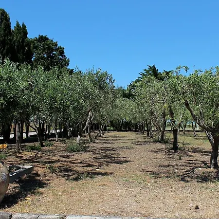 Apart Otel Teti - Sicilia Campofelice Di Roccella