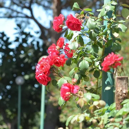 Teti - Sicilia Campofelice Di Roccella