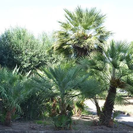 Teti - Sicilia * Campofelice Di Roccella
